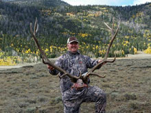 Utah Elk