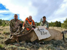 Utah Elk