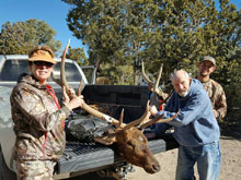 Utah Elk