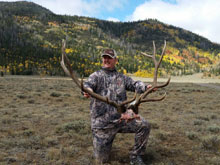 Utah Elk