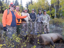 Utah Elk