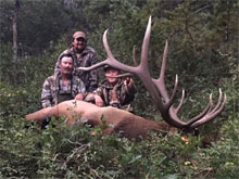 Utah Elk