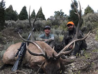 Utah Elk