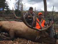 Utah Elk