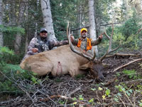 Utah Elk