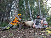 Utah Elk