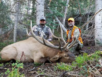 Utah Elk