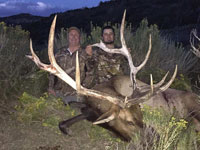 Utah Elk