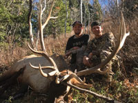 Utah Elk