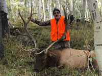 Utah Elk