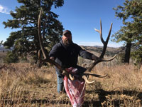 Utah Elk