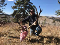 Utah Elk