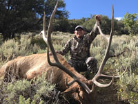 Utah Elk