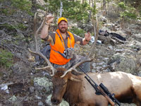 Utah Elk