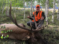 Utah Elk