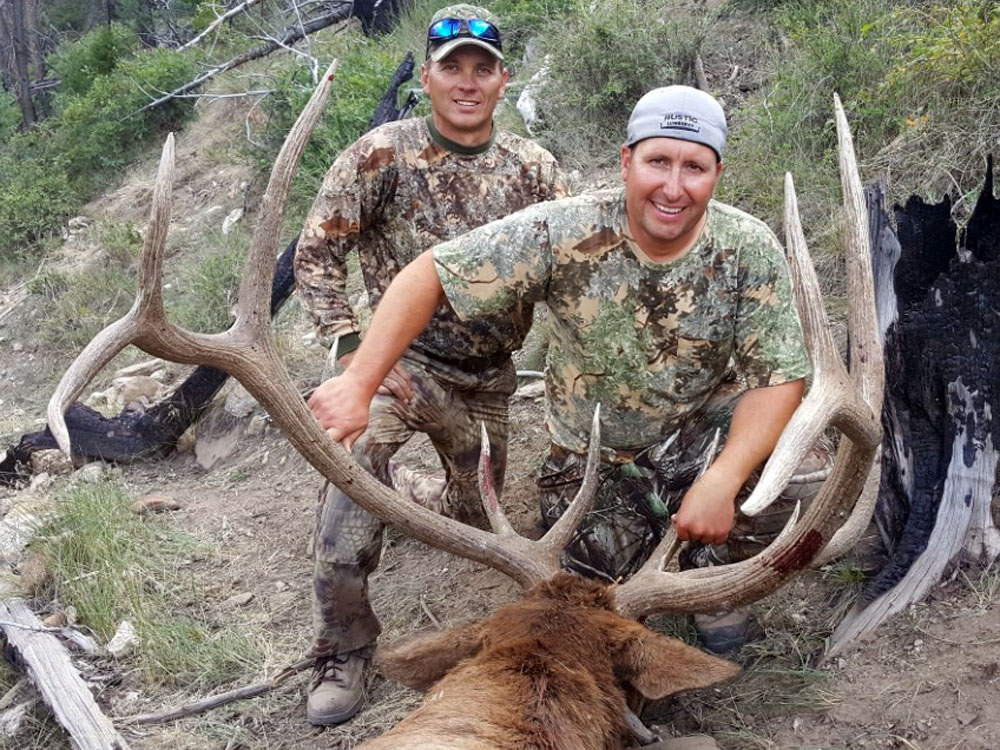 Utah Elk