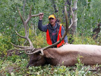 Utah Elk