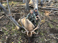 Utah Elk