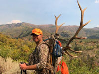 Utah Elk