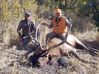 Utah Elk