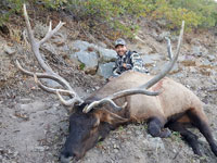 Utah Elk