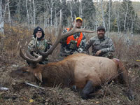 Utah Elk