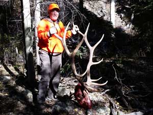 Utah Elk