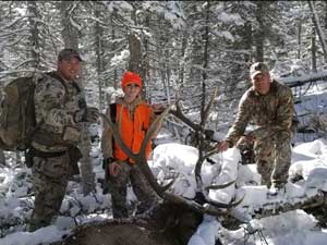 Utah Elk