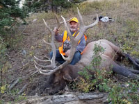 Utah Elk