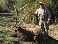 Utah Elk