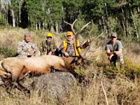 Utah Elk