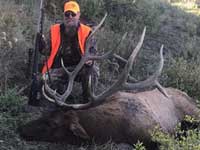 Utah Elk