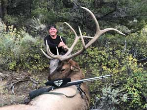 Utah Elk