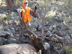 Utah Elk