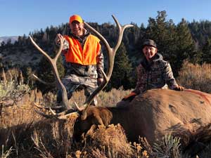 Utah Elk