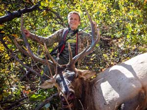 Utah Elk