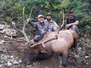 Utah Elk