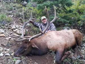 Utah Elk