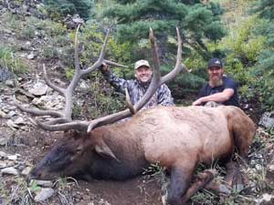 Utah Elk