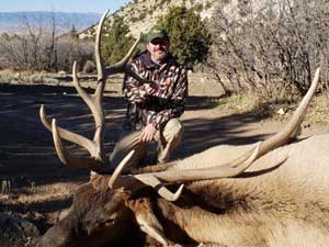 Utah Elk