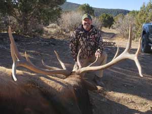 Utah Elk