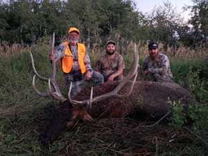 Utah Elk