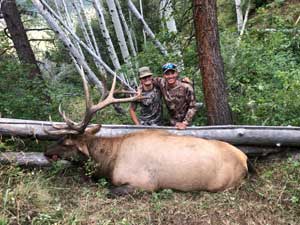 Utah Elk