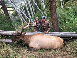 Utah Elk