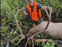 Utah Elk