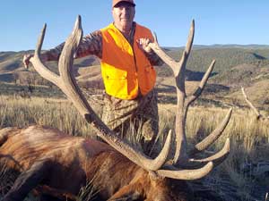 Utah Elk