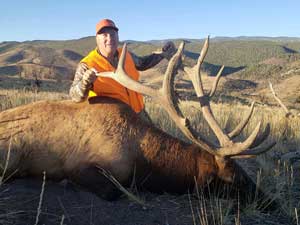 Utah Elk