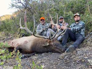 Utah Elk