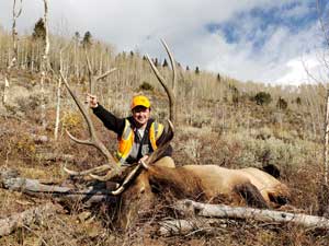 Utah Elk