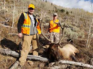 Utah Elk